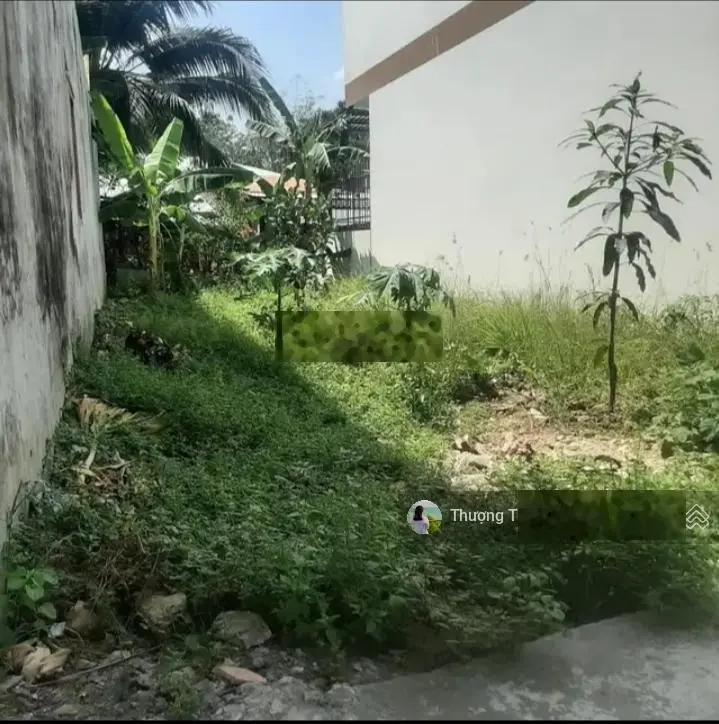 Kẹt tiền bán gấp lô đất MT đường Phạm Ngũ Lão, gần UBND xã Long Đức, Trà Vinh. DT 120m2/600tr. SHR