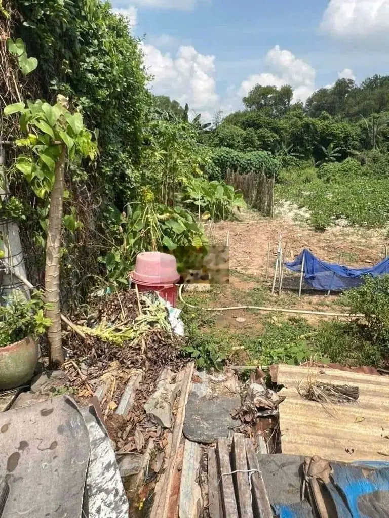 Bán đất mặt tiền đường nhựa giá rẻ