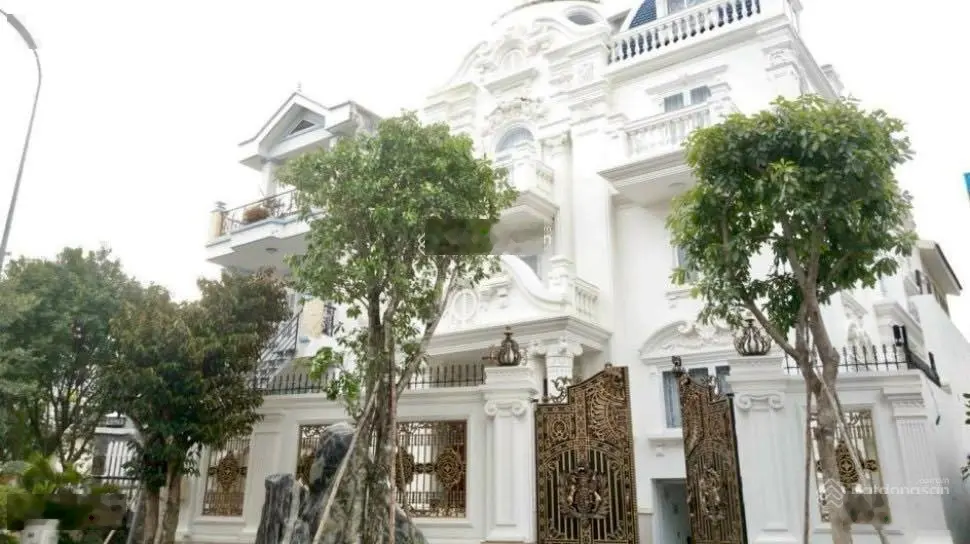 Bán biệt thự mới 100% HC 2024 vị trí VIP mặt tiền Cao Đức Lân 0909 924 ***