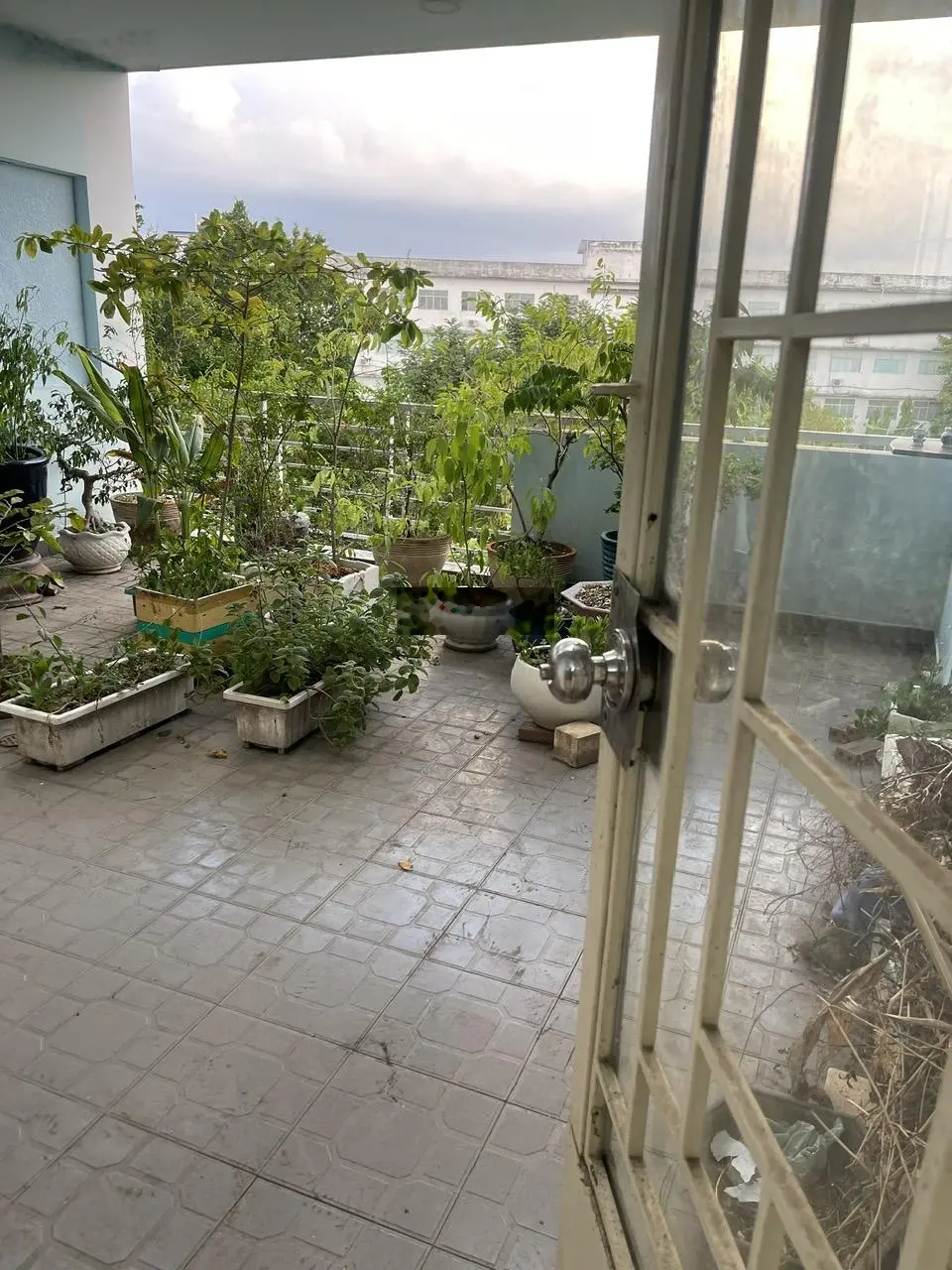 Cần bán nhà MT đường số 25, 5x20m kết cấu 3.5 tấm giá 12tỷ giá tốt nhà đẹp
