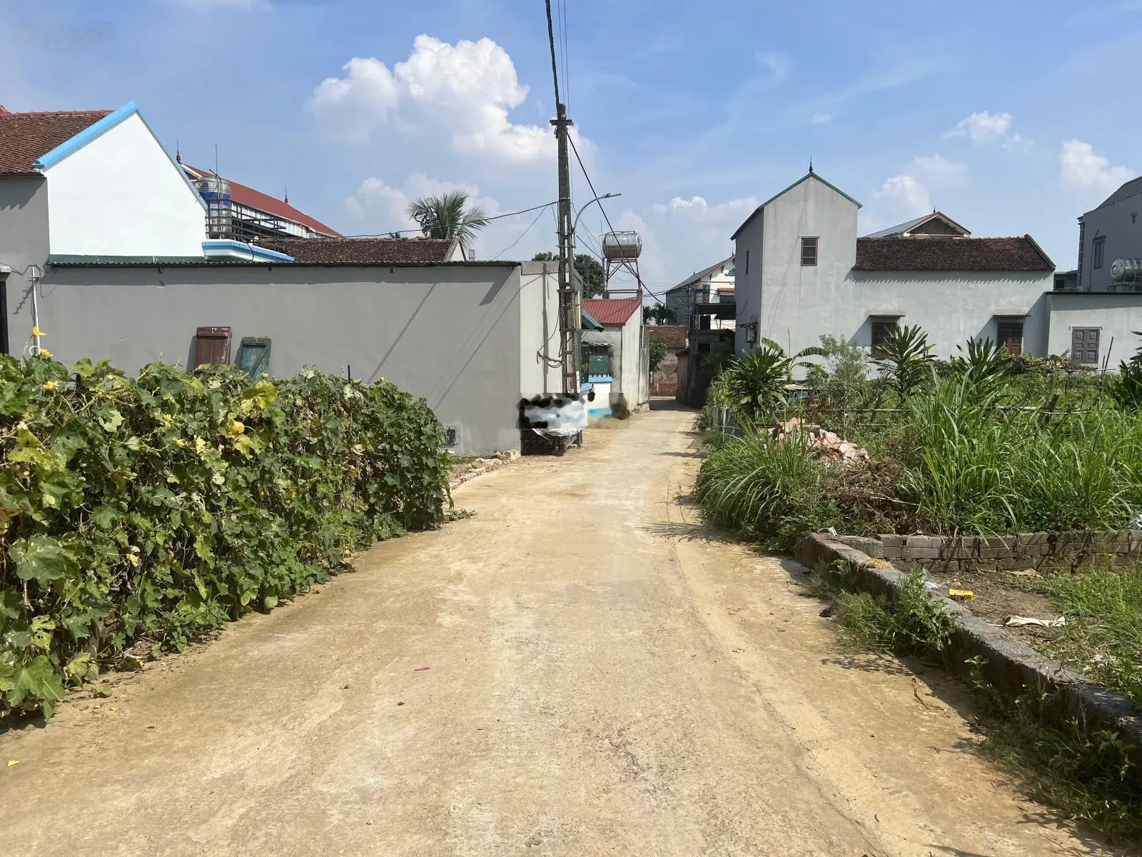 Cần bán hoa hậu 115,6m2 (6,5 x 18m) đất vuông vắn - bằng phẳng - Sẵn sổ hồng - Giá đầu tư