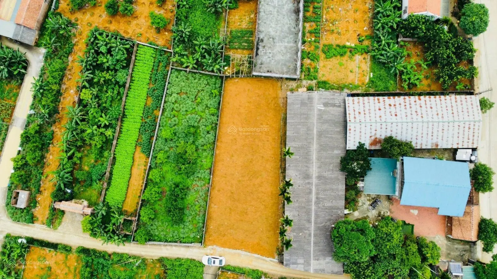 Bán đất tại Đông Yên, Quốc Oai. Diện tích 450m2