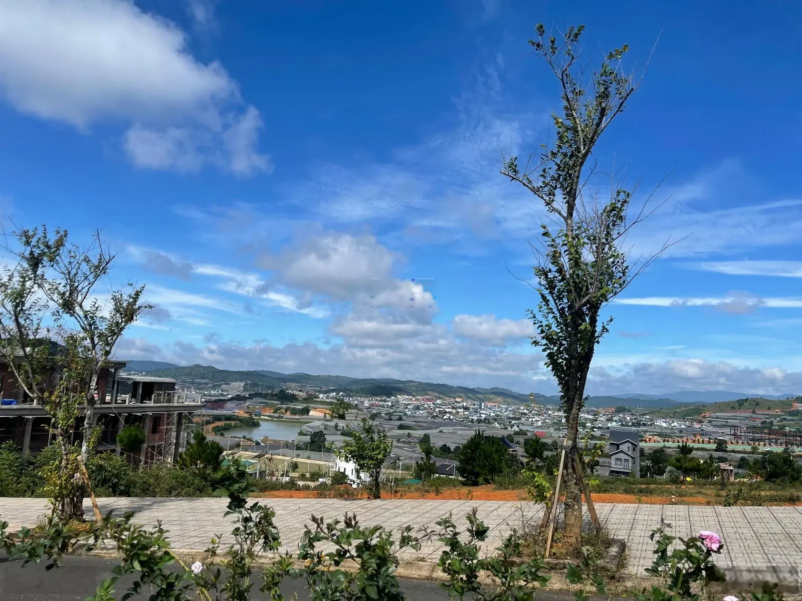 Hoa hậu LangbiangTown, lô góc 362,5m2 (ngang 20m), trên đỉnh, view trọn rừng thông và TT Lạc Dương