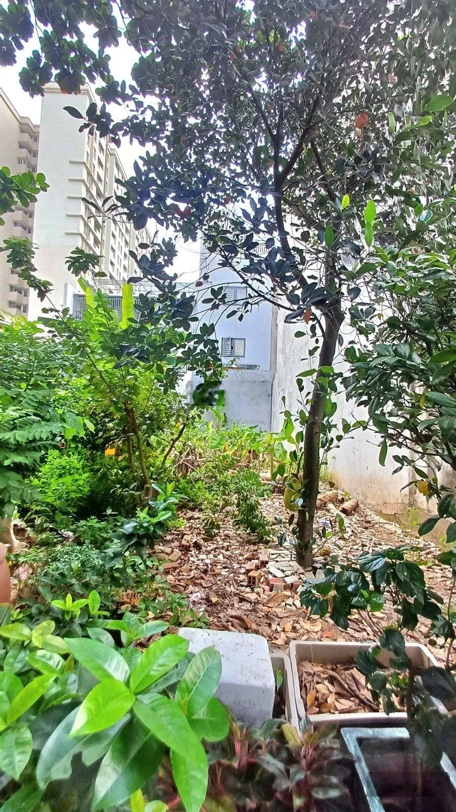 Bán lô đất P. An Phú, TP Thủ Đức 100 m2(5x20) chỉ 16 tỷ 900 triệu