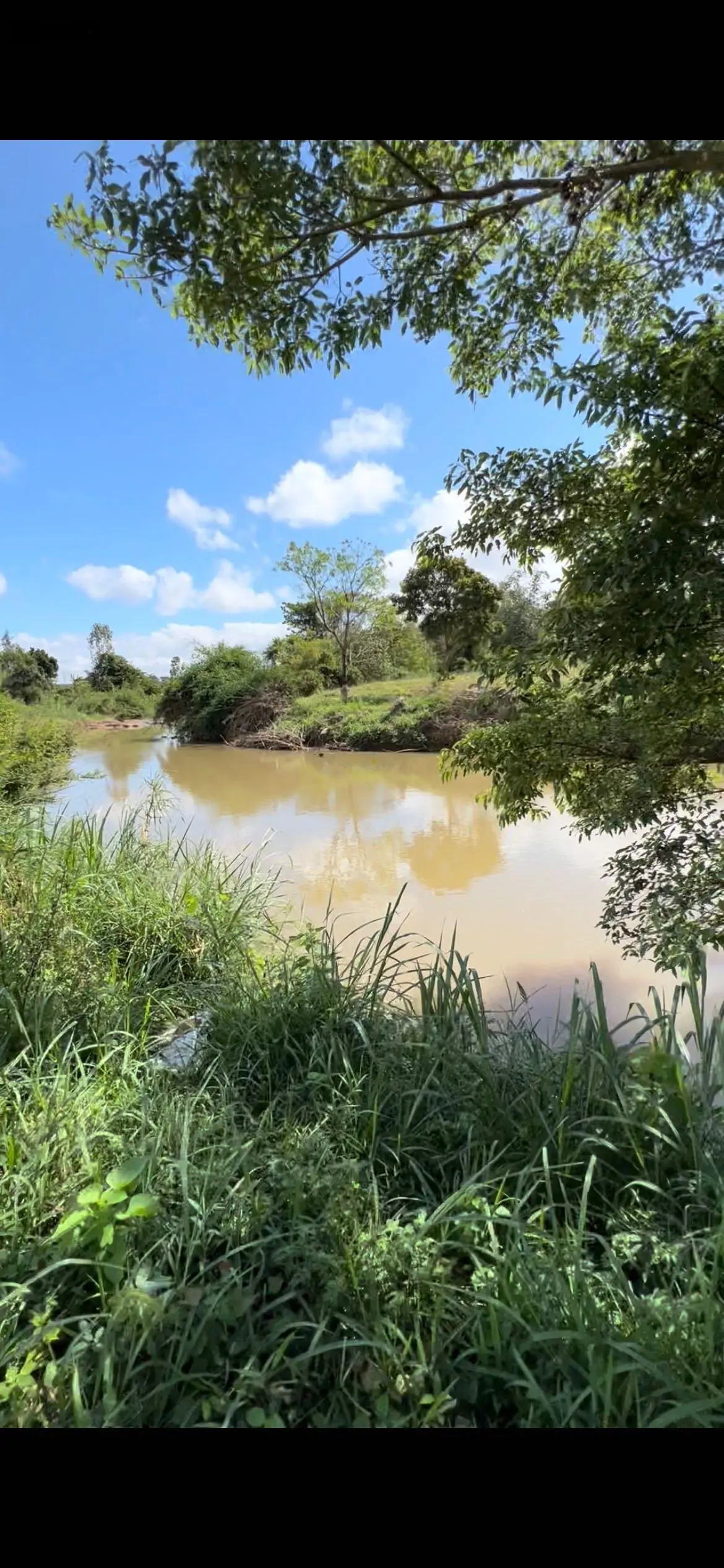 Lô 4 sào view sông - nước quanh năm mát mẻ - tuyệt đẹp cách QL26 1,5km - khu dân cư đông Đúc