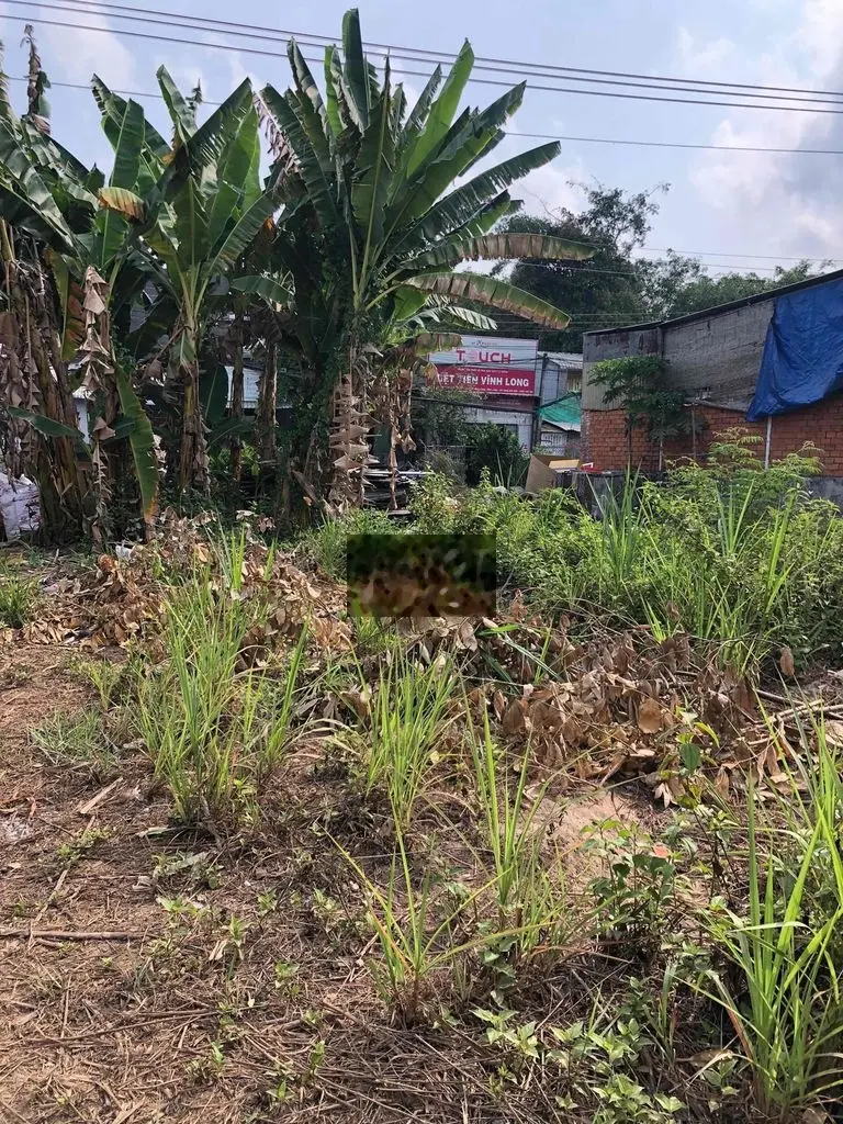 bán đất đẹp thổ cư gần ngã 4 nguyễn văn lâu khu vượt lũ p8