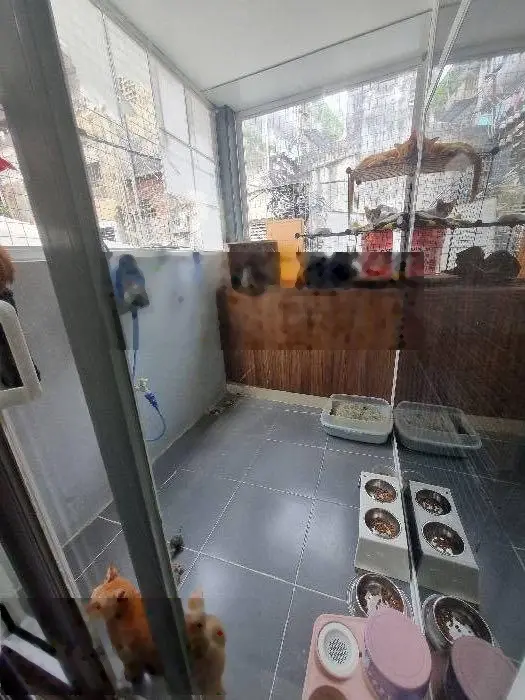 *Xe Hơi - 2 căn ra MT* Trần Hưng Đạo (ko lộ giới)