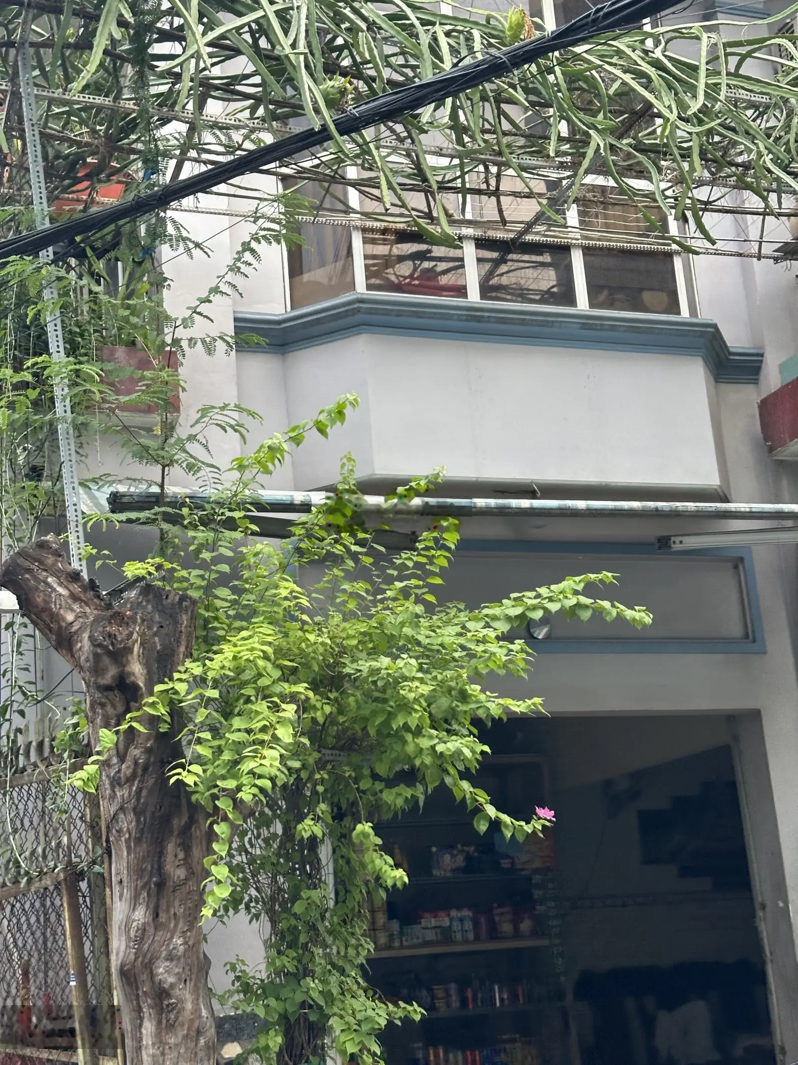 Bán nhà đẹp, hẻm xe hơi. Trung tâm phường 11, tân bình. Nhà khu văn minh đồng bộ 44m - 6,9 tỷ