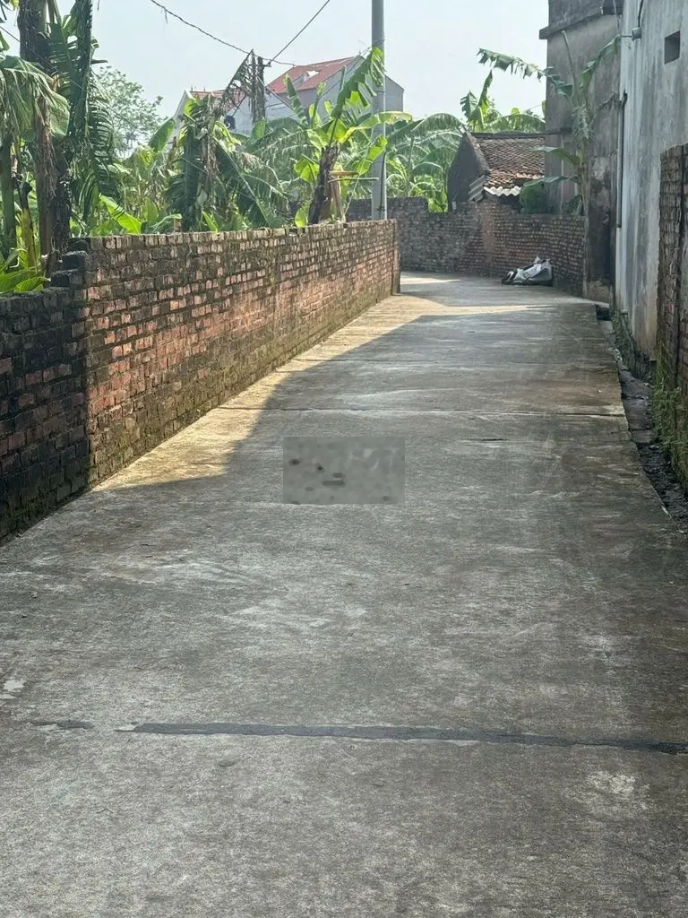 Cần bán đất với giá 3,5 triệu/m² tại xã Song Giang, Gia Bình, Bắc Ninh