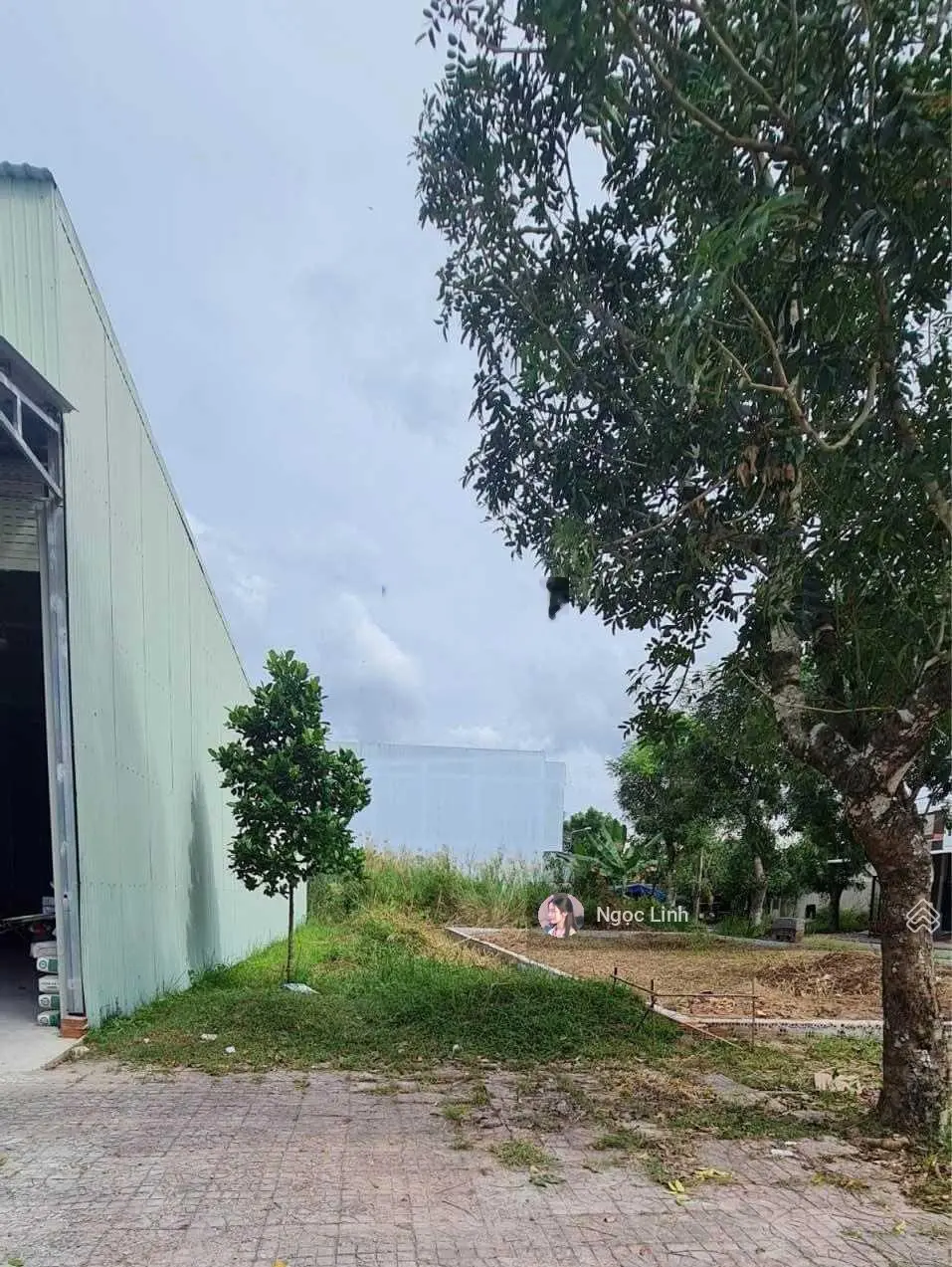 Bán nhanh đất MT Lưu Khánh Đức, phường 2, gần bệnh viện Quân Dân Y tỉnh Sóc Trăng. 120m2/500tr SHR