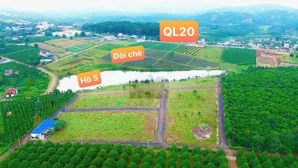 Đất Nền view hồ đồi chè sổ sẵn
