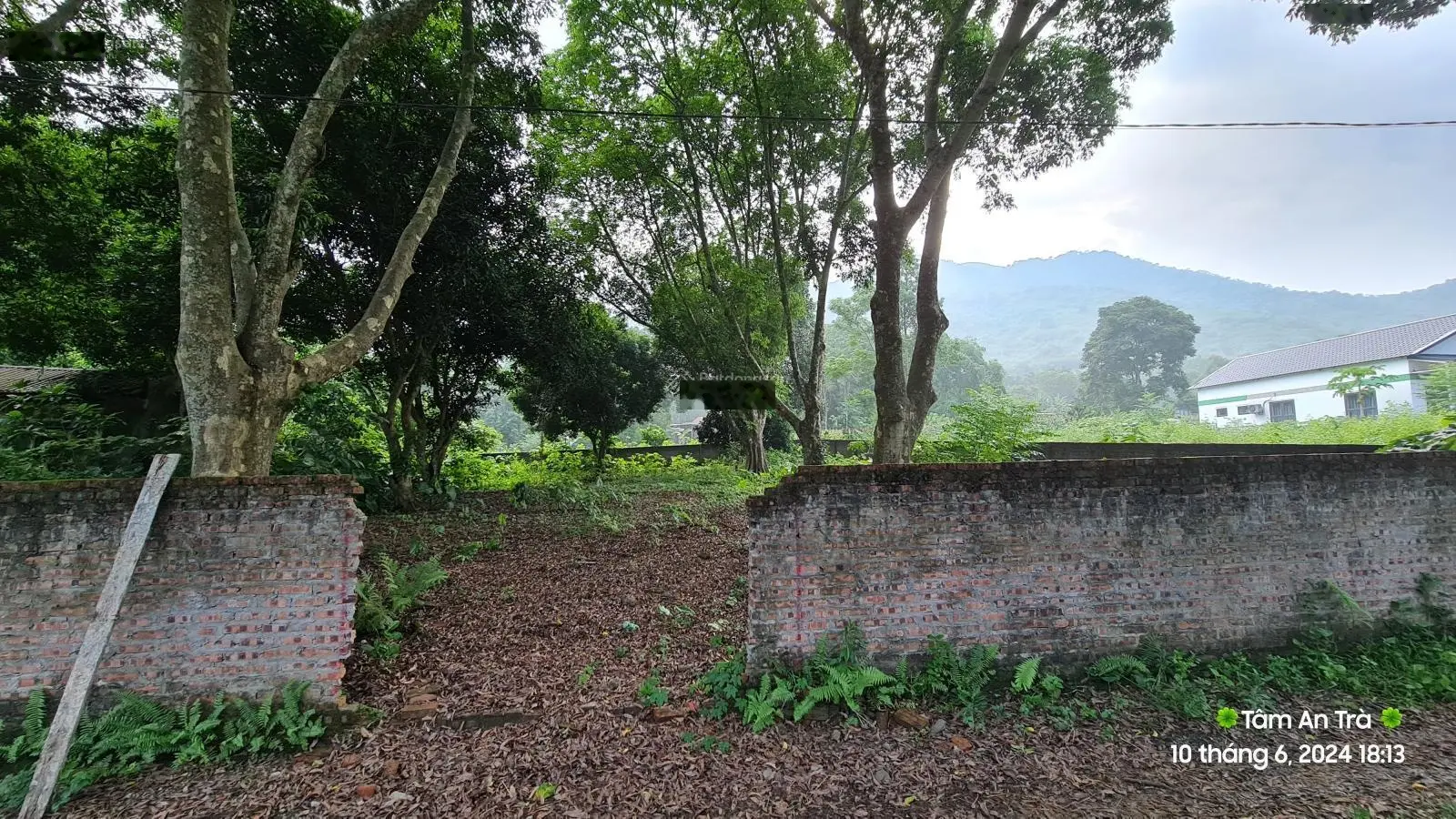 Bán đất nghỉ dưỡng vuông vắn tại Lương Sơn, Hòa Bình. Diện tích 120m2, giá 1,65 tỷ