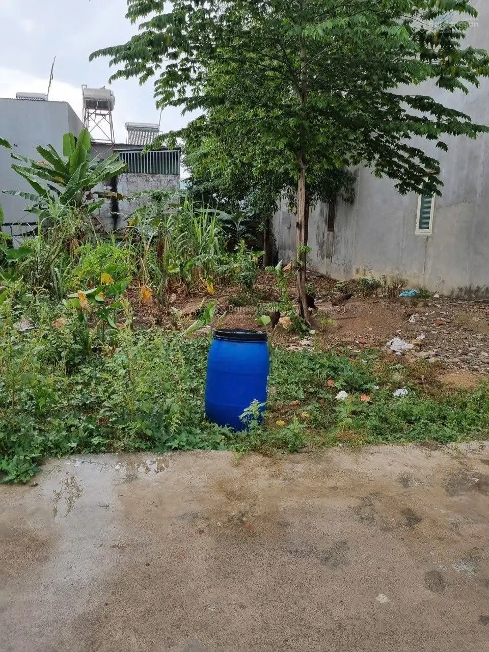 Cần bán lô 10x21m sau chợ An Bình, Phùng Hưng, Long Thành. Giá: 2,25 tỷ