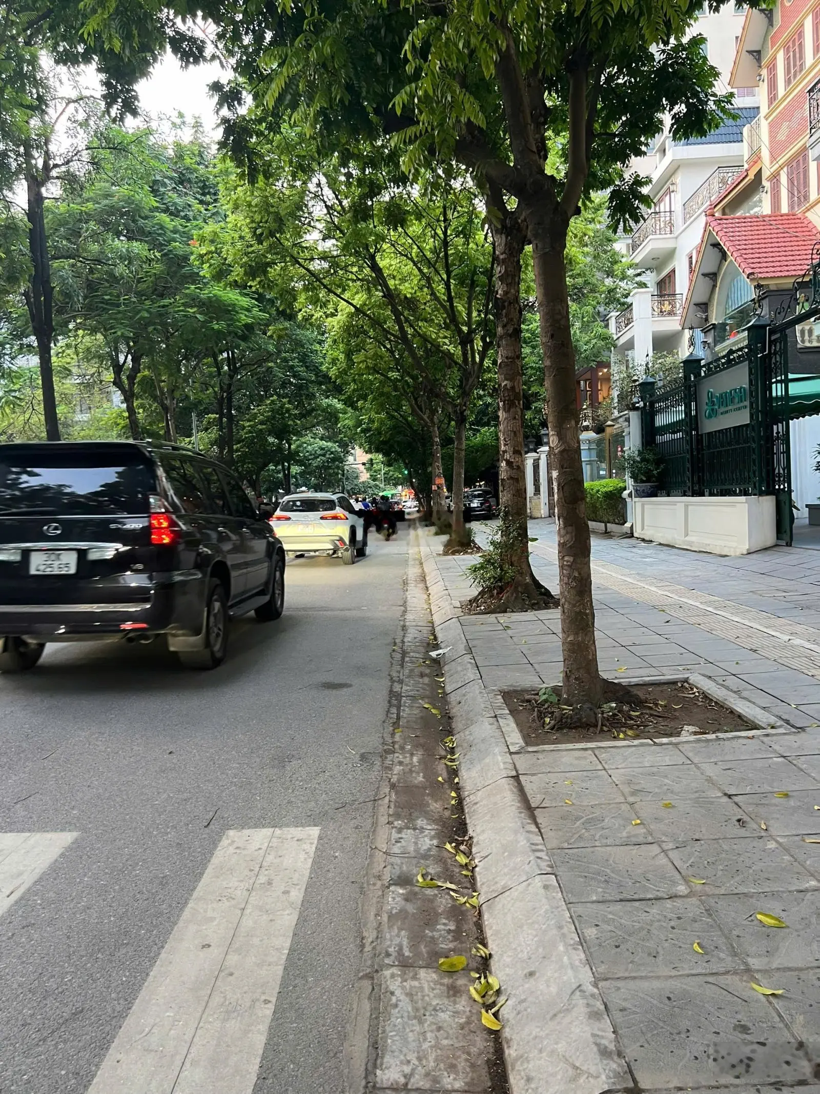 Bán nhà mặt phố Trương Công Giai 292m2 thổ cư, mặt tiền 12m, sổ đỏ vuông đẹp, 118 tỷ