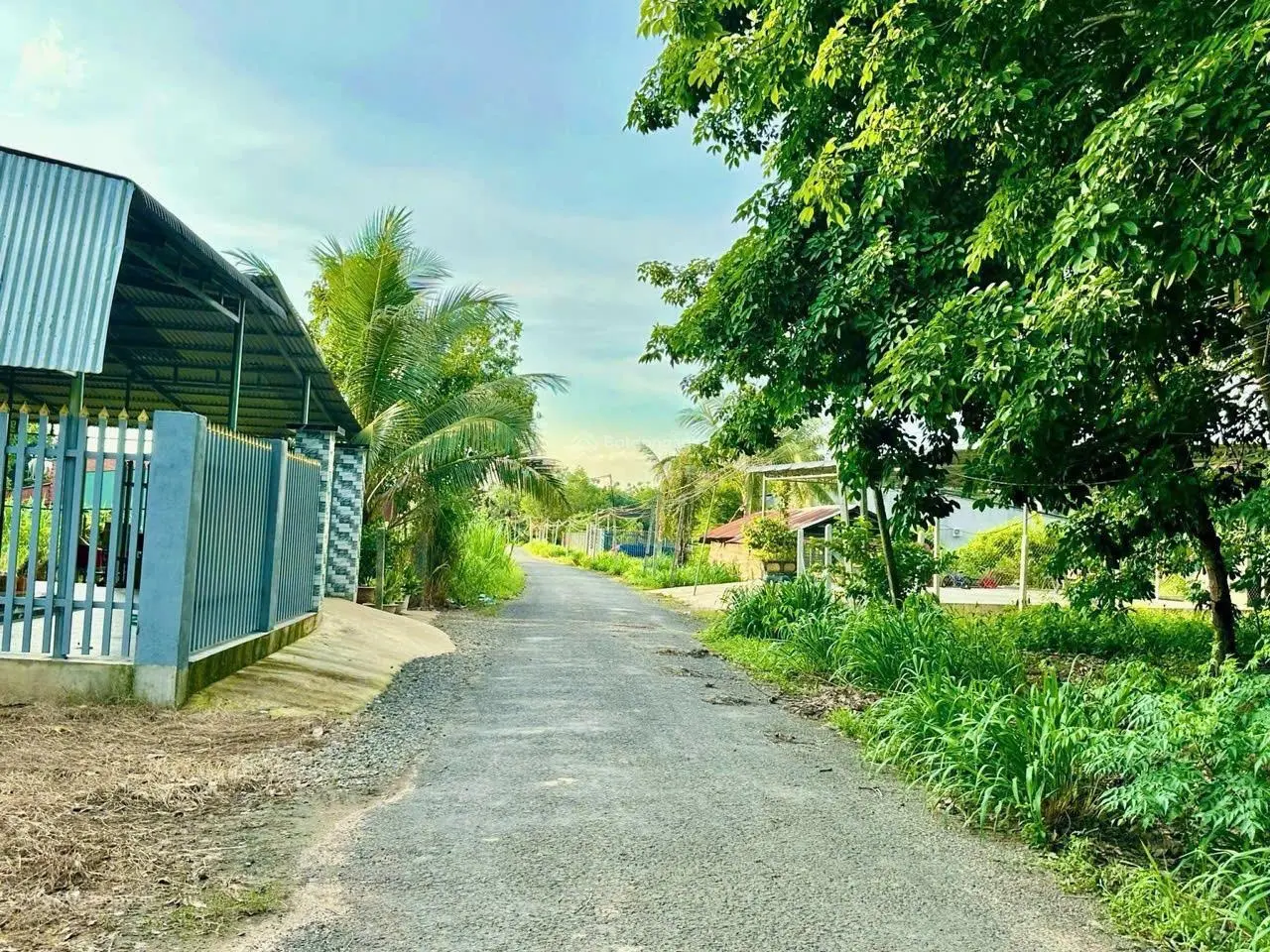 Cần Bán 5x39m2 Đất MT nhựa 12m Cách ĐT 781 Vào đúng 1km, Dân Đông Gần Trường Chợ Bệnh Viên Sổ Riêng