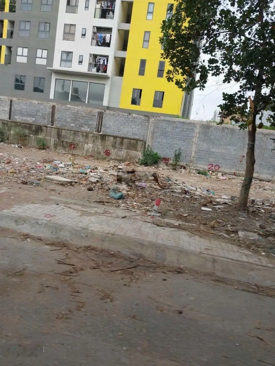 Bán lô đất tái định cư Mỹ Hoà hợp ngay cạnh Bcons Phạm Hữu Lầu