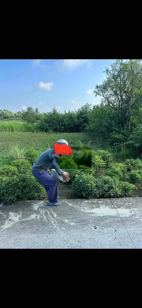 đất lúa cần bán
