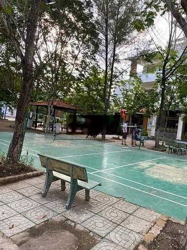 Siêu Phẩm Nhà Trường Lưu, Khu Phân Lô, Ô TÔ Đỗ Cửa, 76m2 , Nhỉnh 3 Tỷ