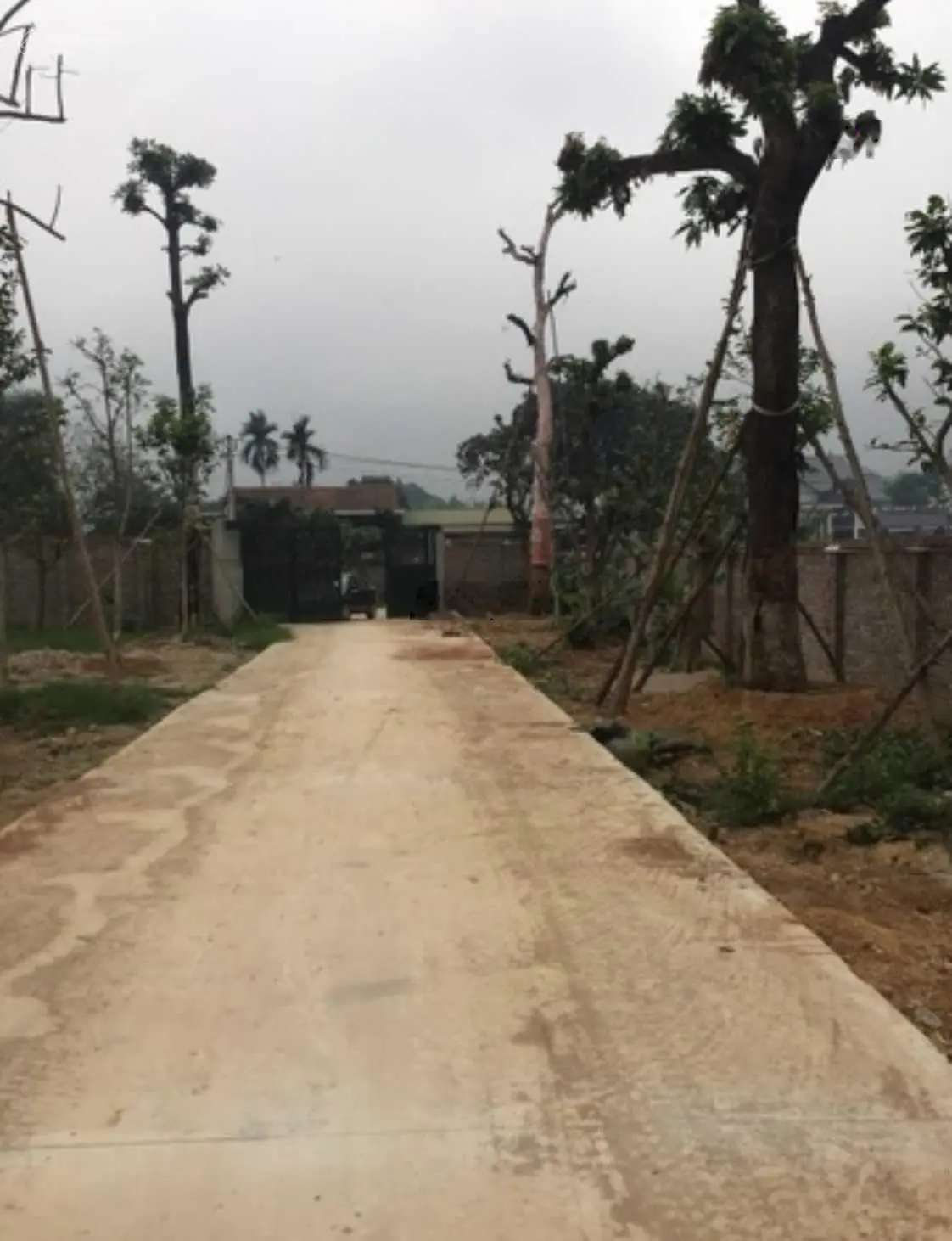 Cần bán 5100m2 tại Hòa Sơn, Lương Sơn, Hòa Bình