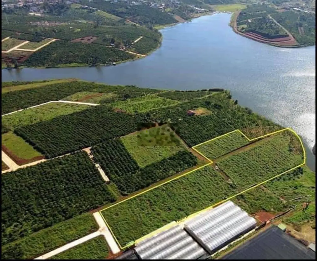 Đất 1hec2 view hồ Tây Di Linh 300m2 thổ cư