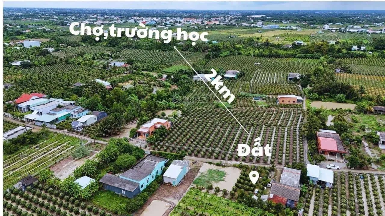 Bán 2 Lô đất thổ ở ấp Bào Dài , Thanh Phú Long , Châu Thành , LA _ Diện Tích : 5 x 25 ( 126m2 ).