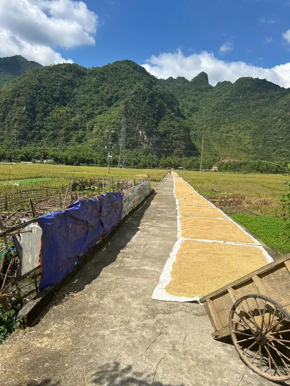 Chính chủ bán 144m2 đất thổ cư tại Chiềng Châu, Mai Châu, Hoà Bình