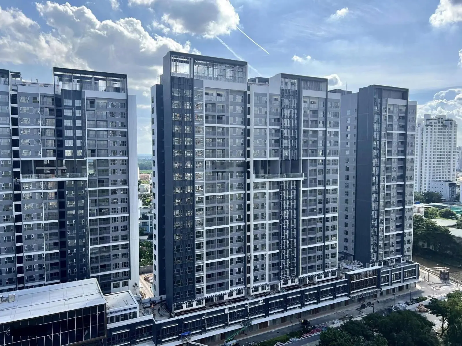 Celesta Rise - Mua đúng bán nhanh - rổ hàng chất lượng