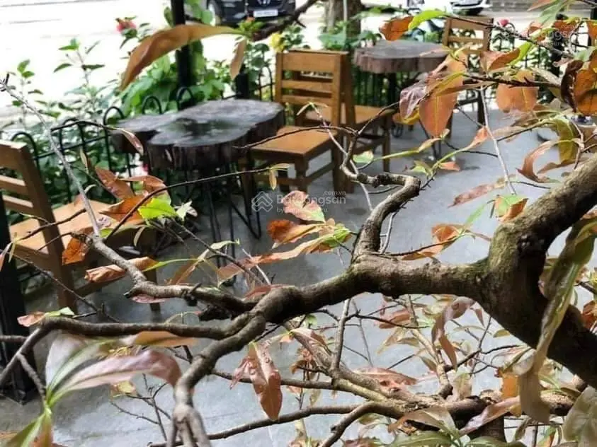 Bán nhà lô góc Trung Kính, Mạc Thái Tổ 29,9 tỷ