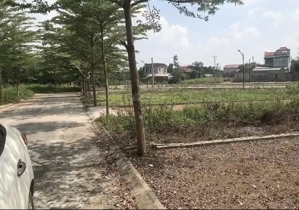 LÔ RẺ HƠN VÀI GIÁ vị trí Đồi Sen, Thạch Thất, HN 0981 769 ***