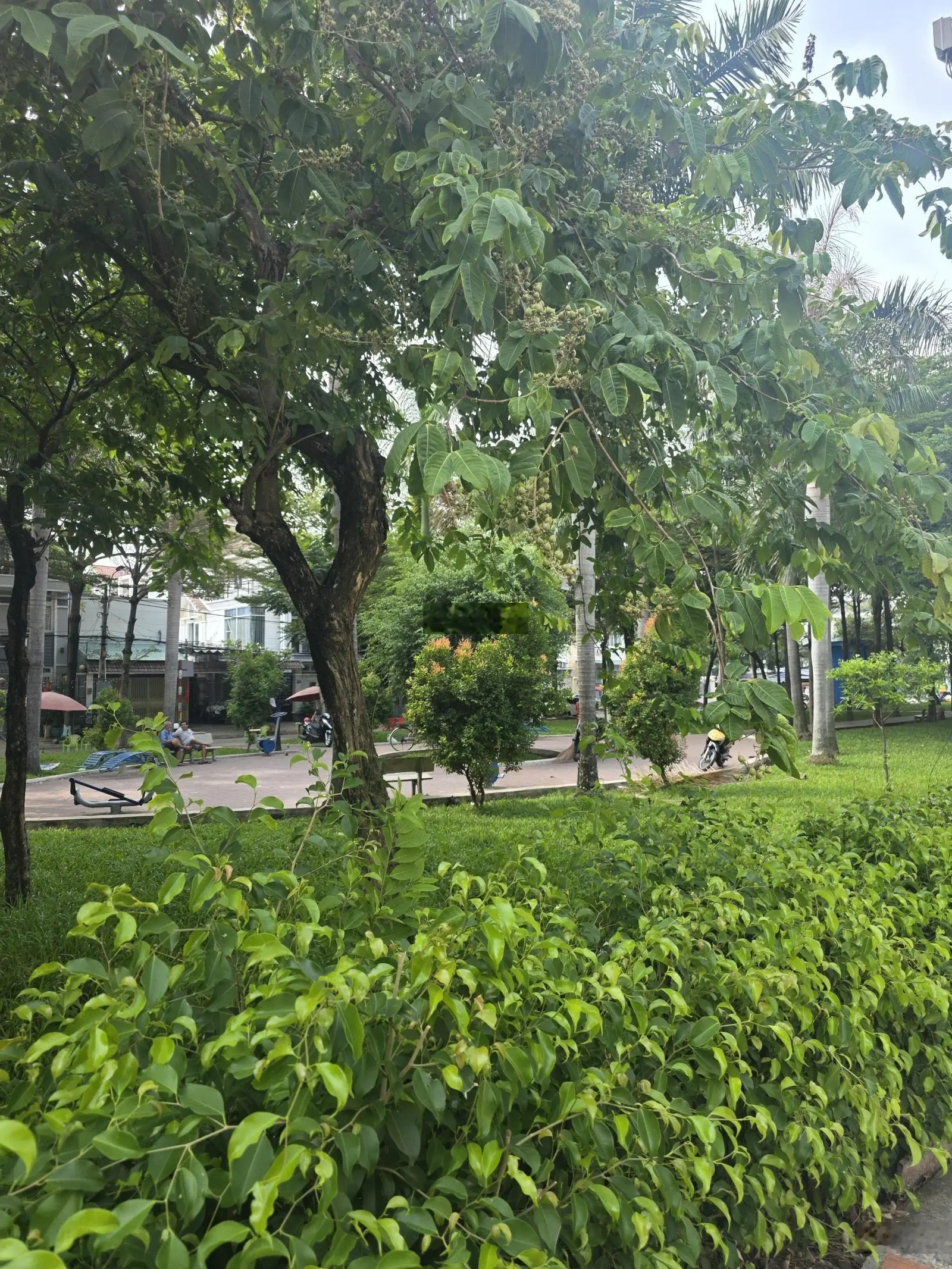 Bán nhà 4 x 24m tên lửa đường 10, kế công viên- 4 tầng giá 7.45 tỷ