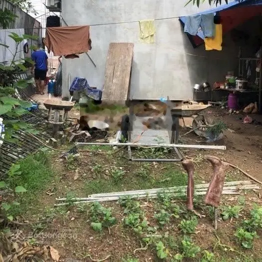 Bán đất Trịnh Văn Bô 3 tỷ 5, 50m2 mặt tiền 6m 8 ngõ to ô tô đỗ cổng gần trường cao đẳng FPT