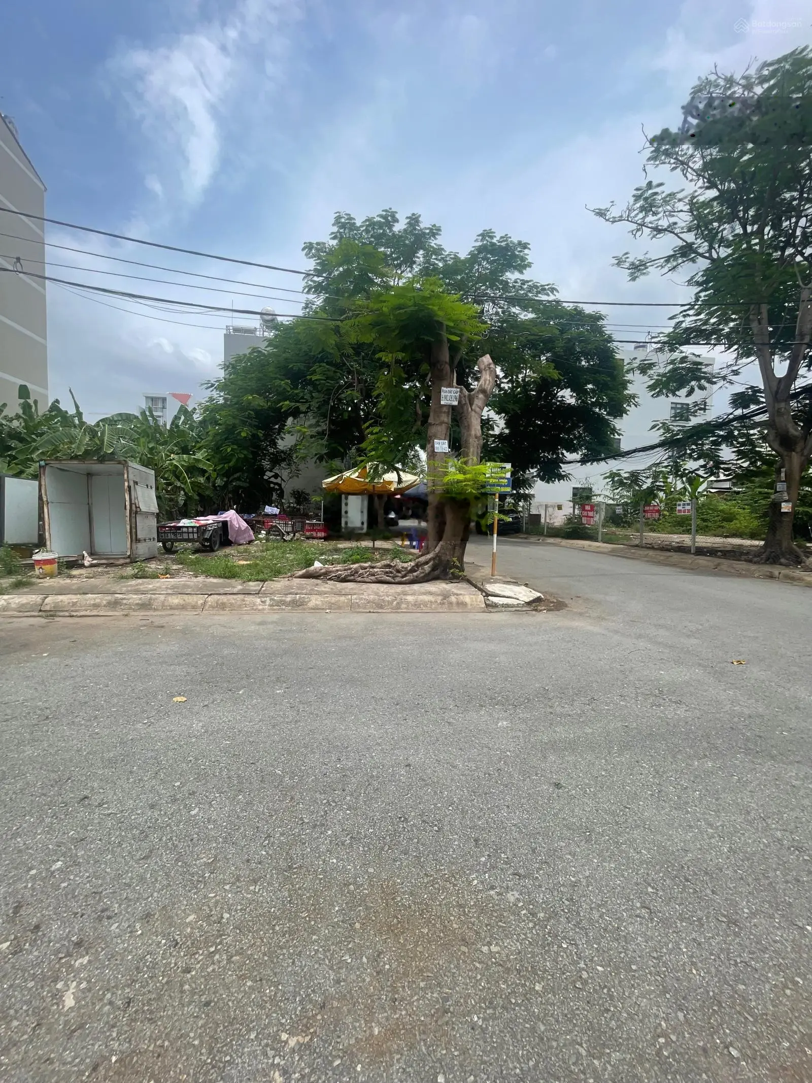 Cần bán gấp lô đất biệt thự khu B Làng Đại Học DT 300m2 sổ hồng riêng xây dựng tự do giá 63tr/m2