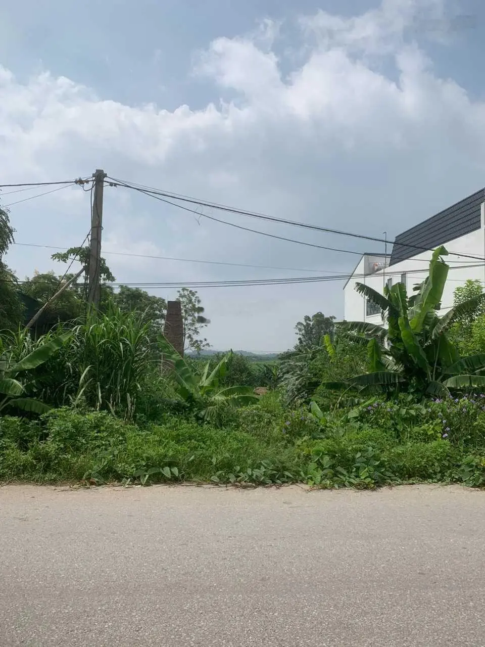 Bán đất mặt đường đê xã Thanh Minh, Phú Thọ. Diện tích 160m2, giá 1,76 tỷ