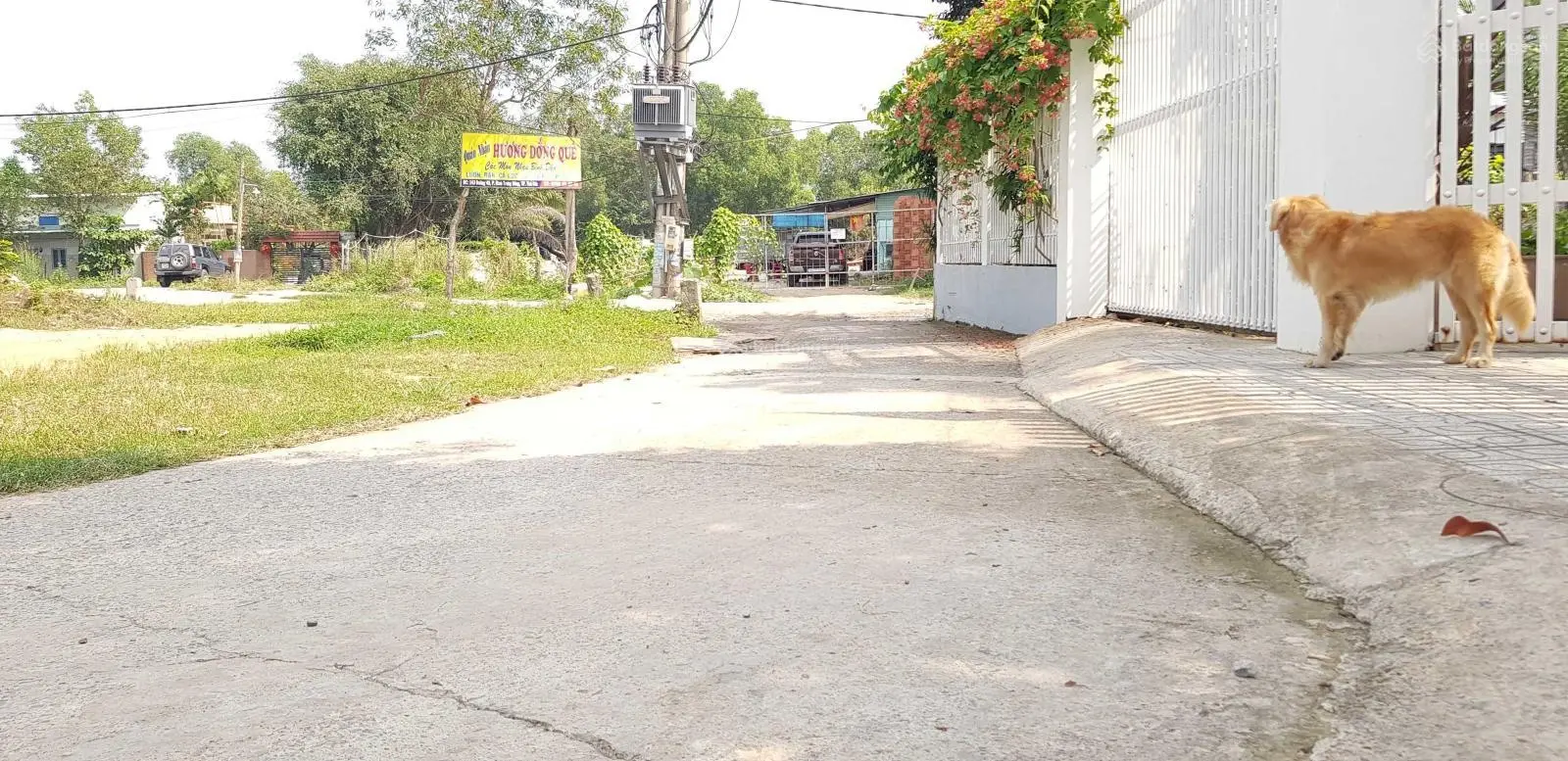 Bán đất chính chủ Quận 2. DT: 241m2. Góc 02 mặt đường. Giá: 12,4 tỷ