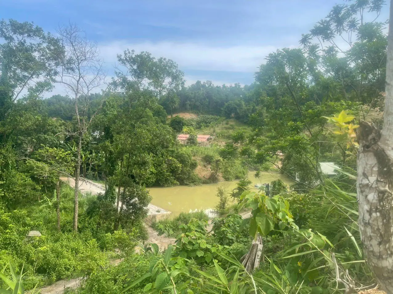 Bán đất Ngòi Hoa, Tân Lạc, Hoà Bình