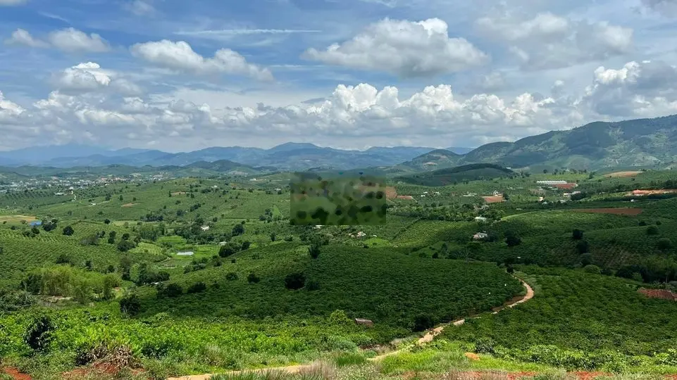 Nghỉ dưỡng ngoại ô Đà Lạt 1011m2 100m thổ cư sổ riêng view săn mây