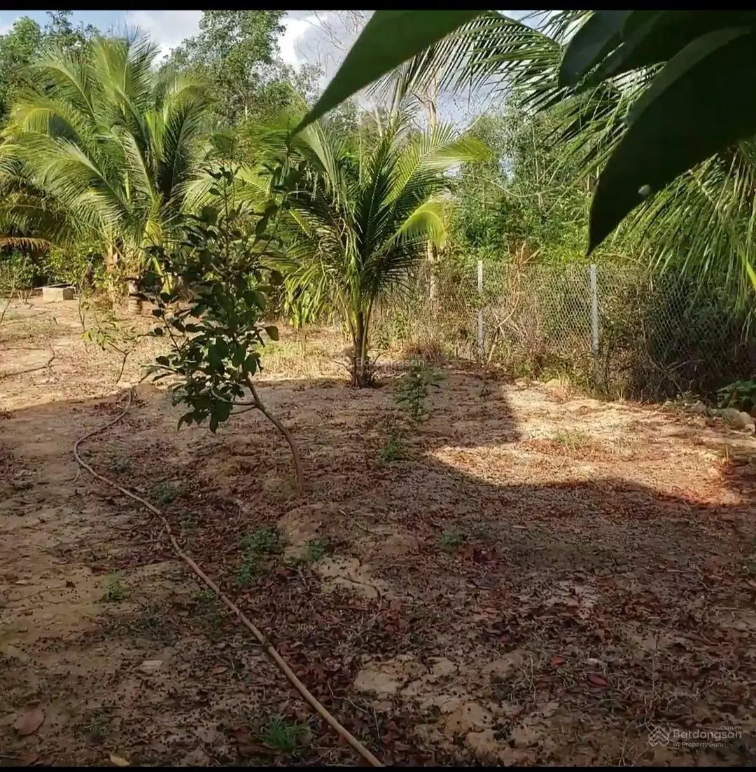 Bán đất kèm nhà ở khu dân cư, 567.7m2 tại Cây Thông Trong, Cửa Dương, Phú Quốc, 2,2 tỷ giá cực chất
