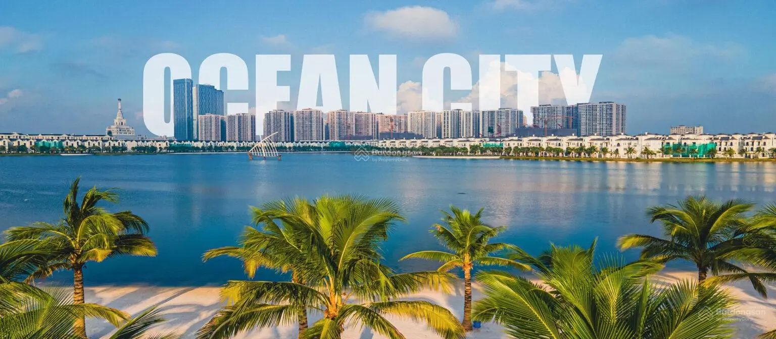 Tài chính 20 tỷ có nên đầu tư bất động sản tại Vinhomes Ocean Park 1 2 3 trong năm 2025 hay không?