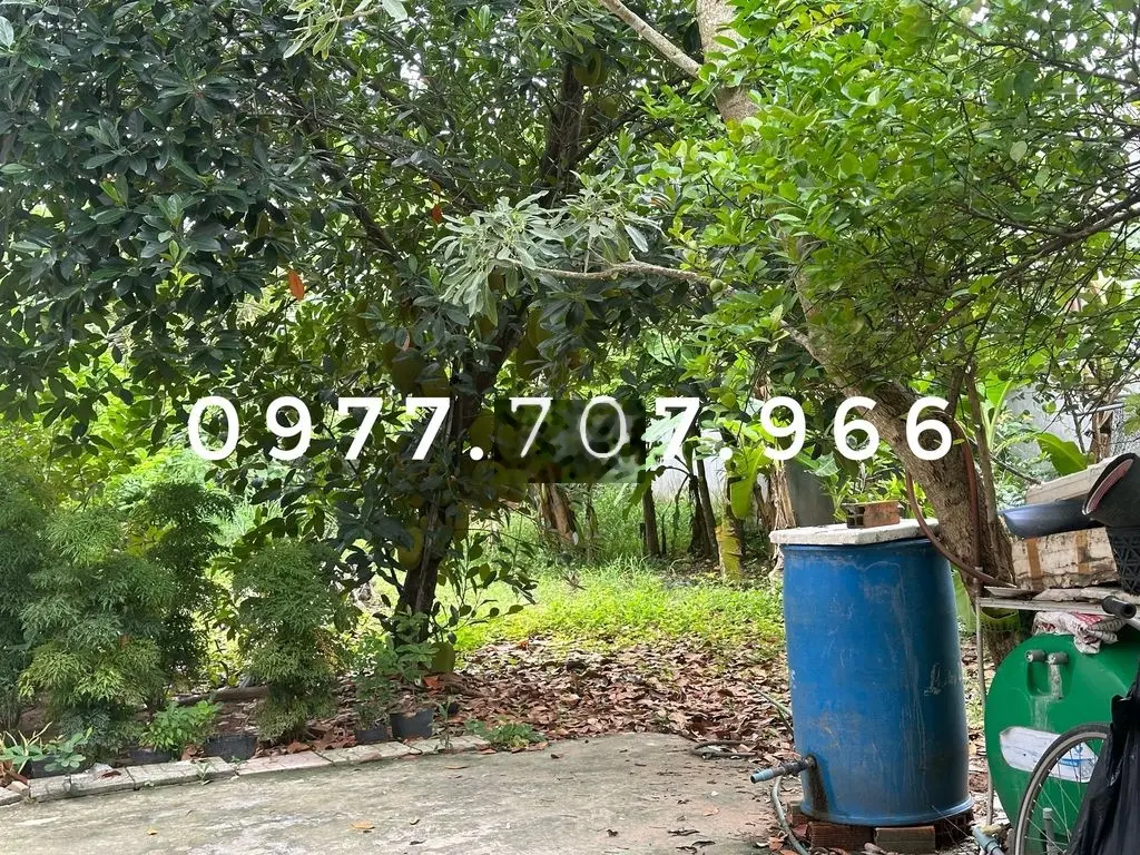 Đất thổ cư 330m2 đường D5, Phường 5 Tp Trà Vinh