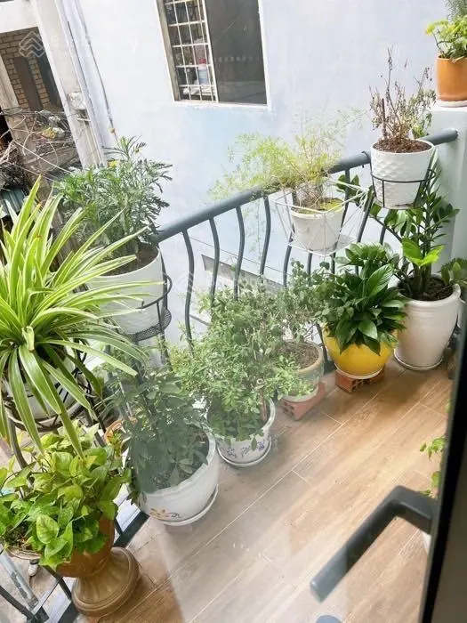 Siêu phẩm nhà xinh - HXH Phạm Văn Hai - Tân Bình - DT 30m2 (MT 3,3m) chỉ 5,6 tỷ TL
