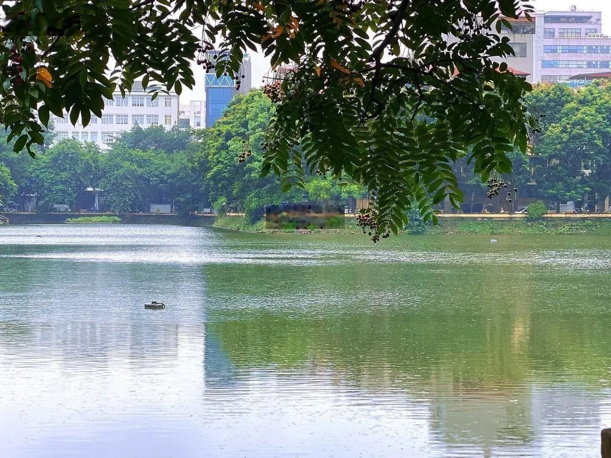 Bán nhà phố Chùa Láng Đống Đa - gara ô tô - 2 thoáng, gần hồ có thang máy 65m2/7T/5m MT nhỉnh 18tỷ