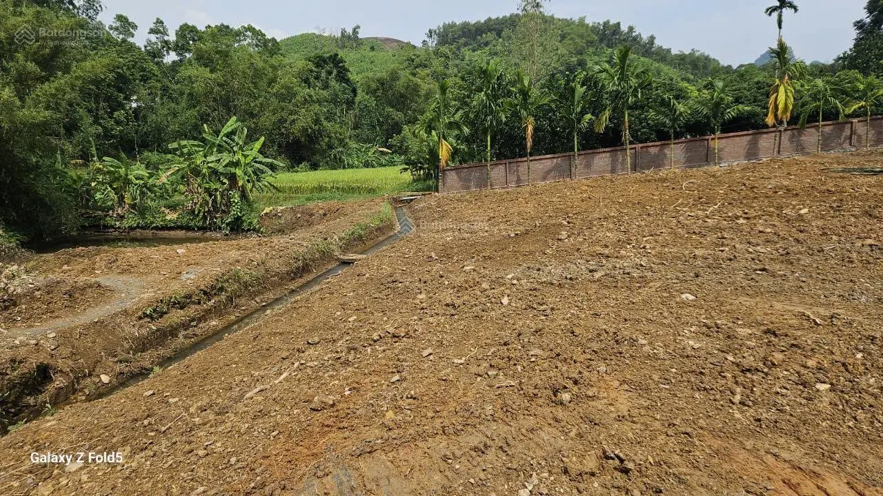 Cần bán lô đất diện tích 1.565.5m2 tại Kim Bôi , Hòa Bình