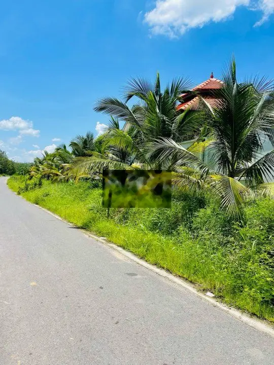 Chú 4 bán vườn 2500m2 có 100m2 thổ đường nhựa ngay TT Dầu tiếng,shr