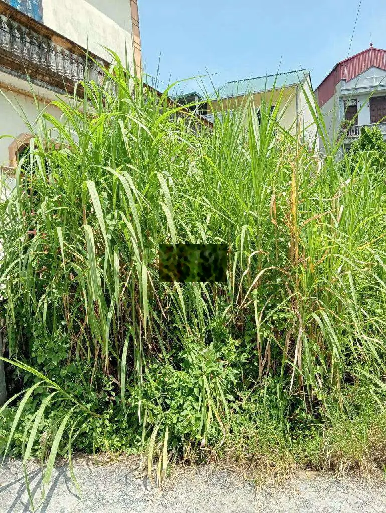 Đông dư 61m2 đất ôtô 7 chỗ - tiện ích vinhomes, ecopark - siêu hiếm