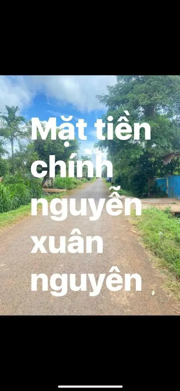 Bán đất mặt tiền Nguyễn Xuân Nguyên