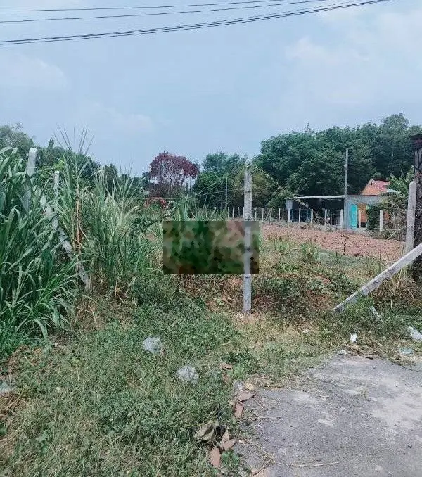 BÁN NHANH 131M2 TẠI TÂN THÔNG HỘI, CÁCH QUỐC LỘ 22 2KM, 650TR, SHR
