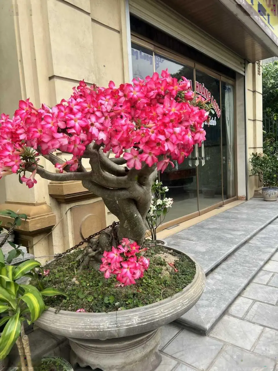 Chính chủ cần bán khách sạn, mặt đường 30/6, giá cực tốt (ngay trên trục Quốc Lộ 1A) - TP.Ninh Bình