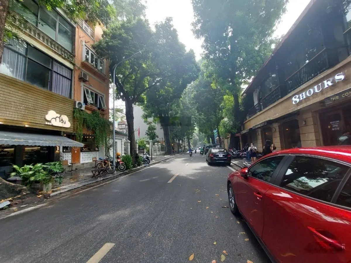 Biệt thự pháp phố đặng thái thân 65m sân vườn siêu đẹp oto vào nhà sát mặt phố 20tỷ