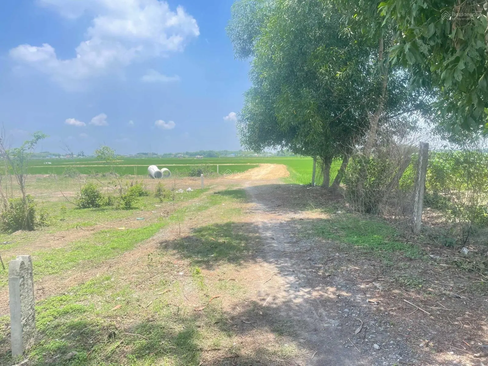 Đất đẹp Gò Dầu, Tây Ninh 5x40m, full thổ. Sổ hồng riêng. Giá chỉ 550 triệu