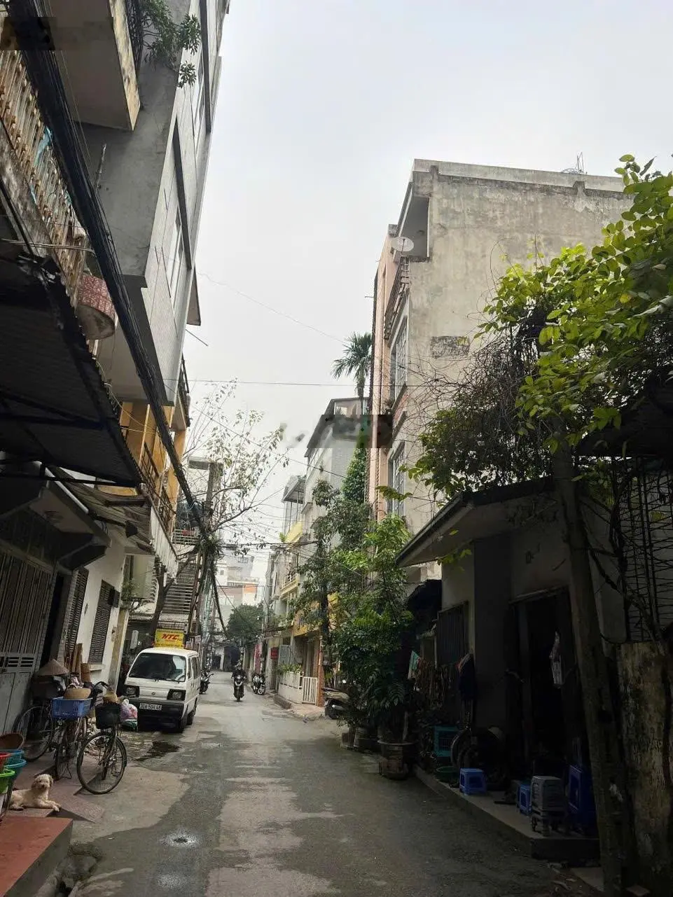 Phân lô, ô tô đỗ cửa, 3 bước ra phố, ở hay làm VP công ty đều được, Hào Nam: 41.1/45m2, 5T, 14.5 tỷ